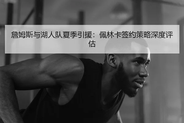 詹姆斯与湖人队夏季引援：佩林卡签约策略深度评估