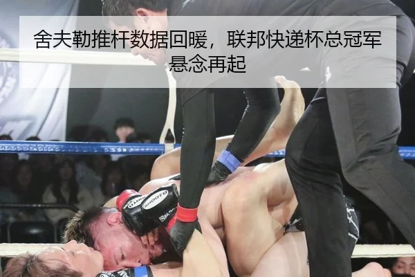 she-fu-lei-tui-gan-shu-ju-hui-nuan-lian-bang-kuai-di-bei-zong-guan-jun-xuan-nian-zai-qi-3-530.jpg
